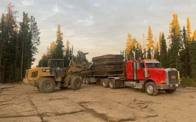Do You Need Swamp Mats, Access Mats or Rig Mats?